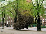 A Fresh take on Willow Sculpture